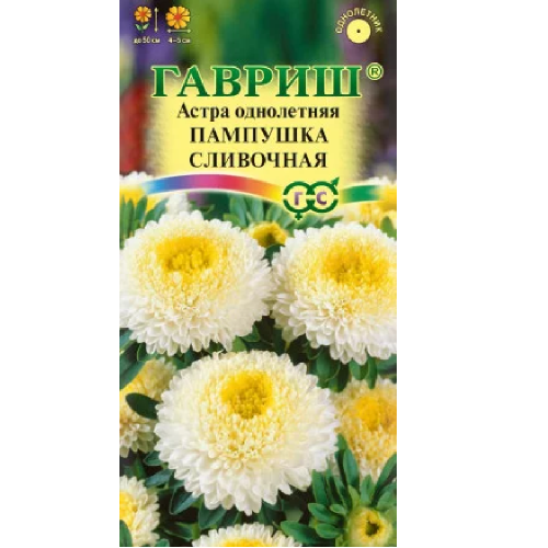 Астра Пампушка сливочная  0_3гр_10