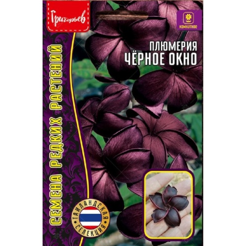 Плюмерия Черное Окно  3шт_10