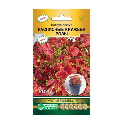 Колеус Расписные кружева Розы блюме 10др _10