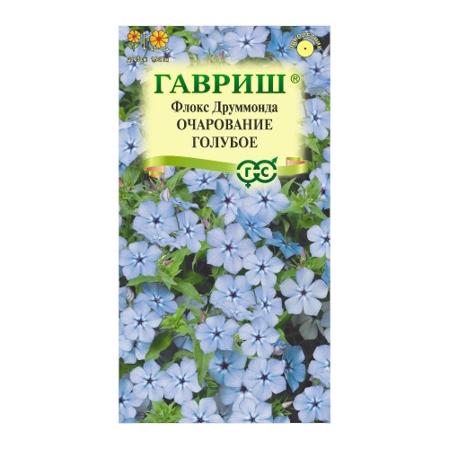 Флокс друммонда Очарование голубое  0_05гр_10