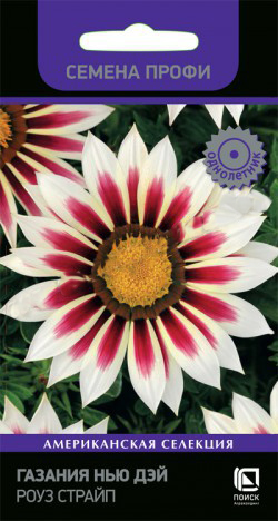 Газания (Гацания) Нью Дэй Роуз Страйп  10шт_10