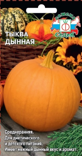 Тыква Дынная  1гр  _10