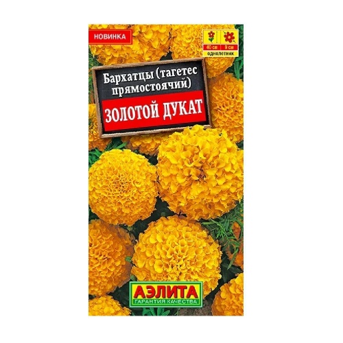 Бархатцы Золотой дукат прямостоячие 7шт_10