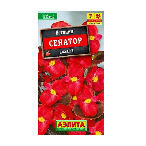 Бегония Сенатор алая F1 вечноцветущая  10шт_10
