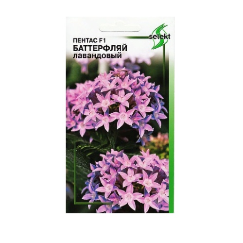 Пентас F1 Баттерфляй лавандовый 3шт  _10