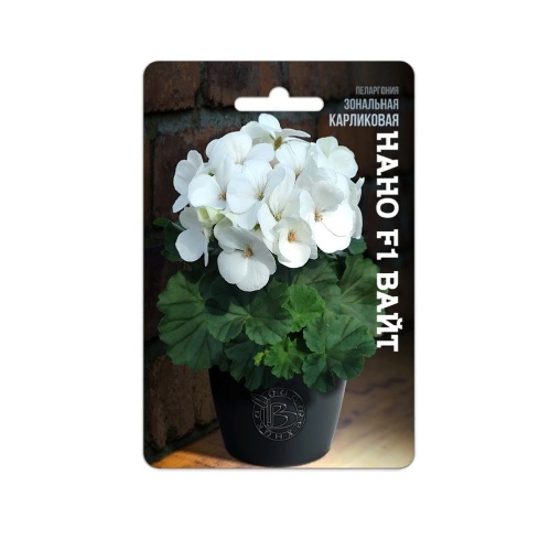 Пеларгония Нано F1 Вайт F1  5шт_5_10