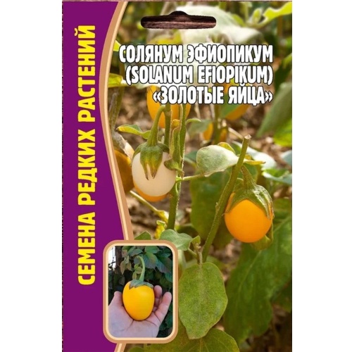 Солянум Эфиопикум золотые яйца 12шт _10