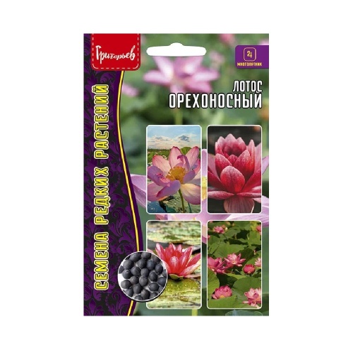 Лотос орехоносный  2 шт_10