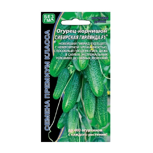 Огурец Сибирская гирлянда F1  5шт_10