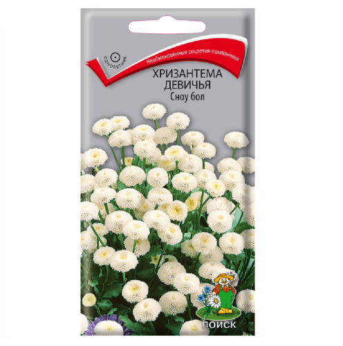 Хризантема девичья Сноу бол  0_05гр_10