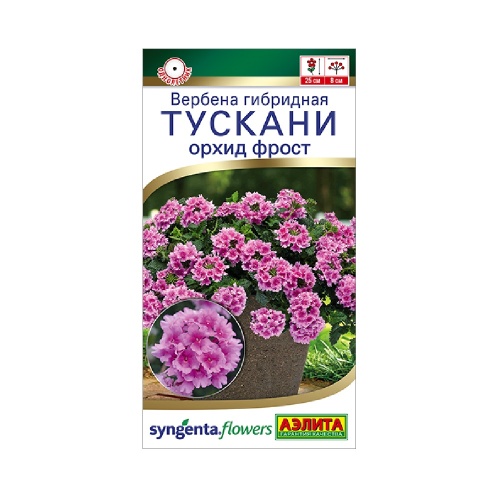 Вербена Тускани орхид фрост 5шт_10