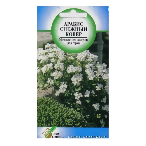 Арабис Снежный Ковер  160шт_10