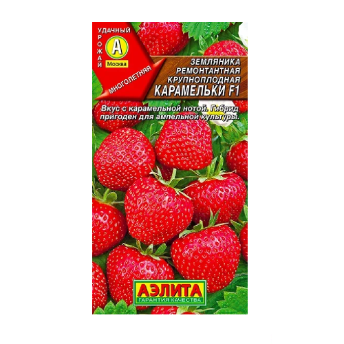 Земляника Карамельки F1  10 шт_10