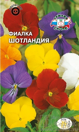 Фиалка Шотландия рогатая  0_05гр_10