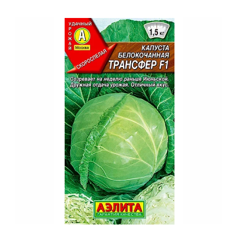 Капуста б_к Трансфер F1  0_1гр_10