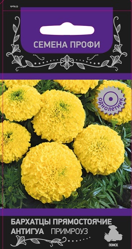 Бархатцы Антигуа Примроуз прямостоячие  15шт_10