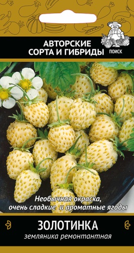 Земляника Золотинка ремонтантная  100шт_10