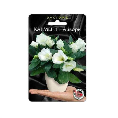 Эустома Кармен F1 Айвори горшечная  5шт_5_10