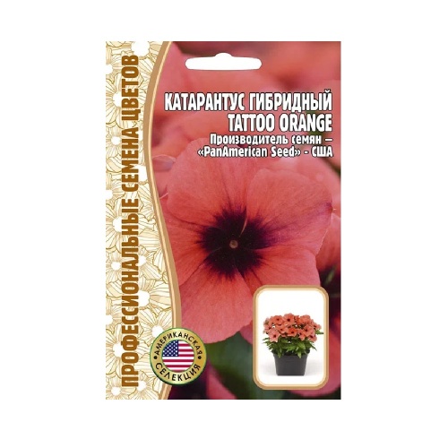 Катарантус TATTOO Orange гибридный F1 5шт_10