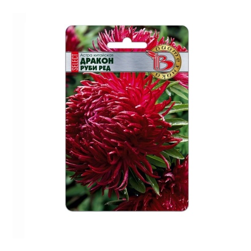 Астра Дракон селект Руби Ред  30шт_5
