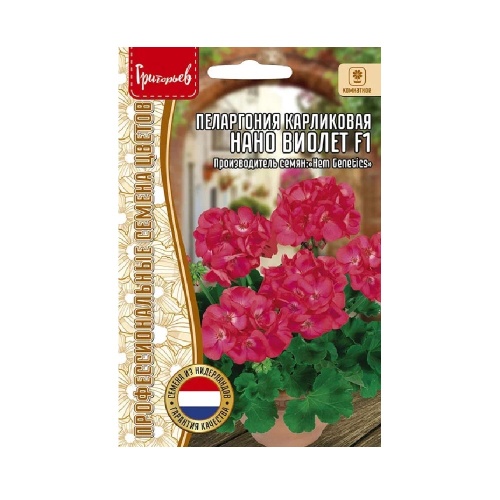 Пеларгония Нано Фиолетовая F1 карликовая 3шт_10