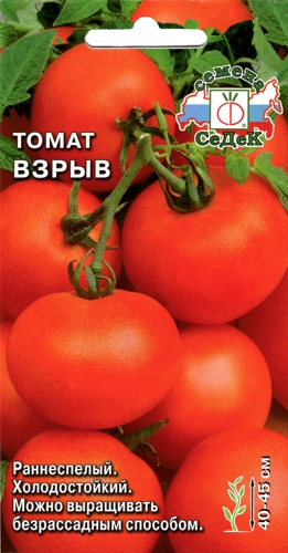 Томат Взрыв  0_1гр_10