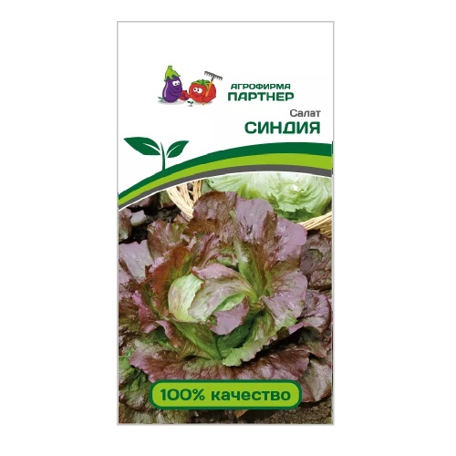 Салат Синдия 1гр_10