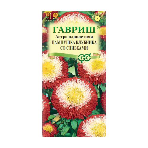 Астра Пампушка клубника со сливками  0_3гр_10