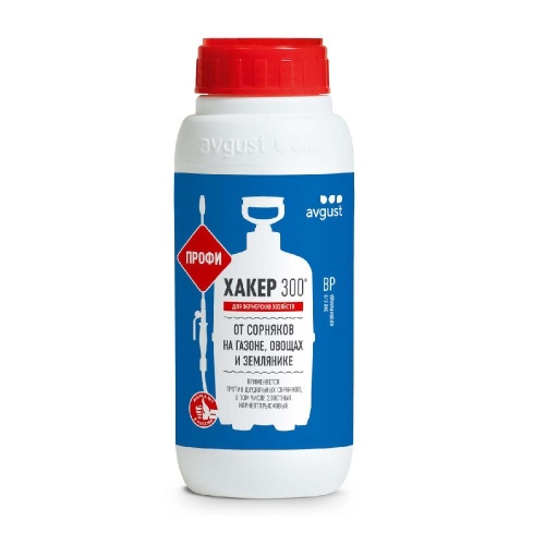 ХАКЕР ПРОФИ АВГУСТ  0_45л _6