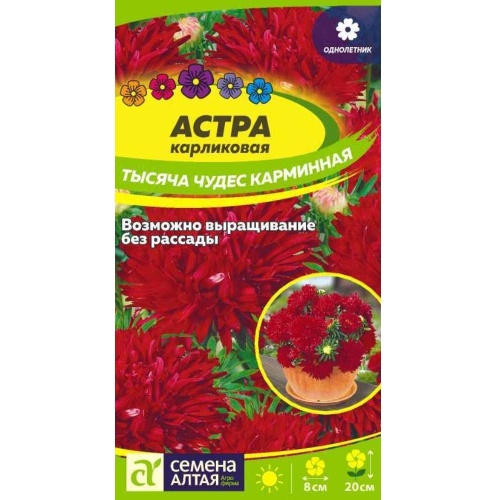 Астра Тысяча чудес карминная карликовая 0_15-0_2гр _10