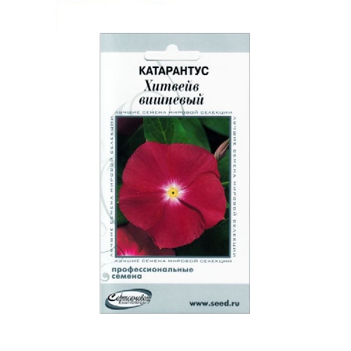 Катарантус Хитвейв вишнёвый 7 шт_10