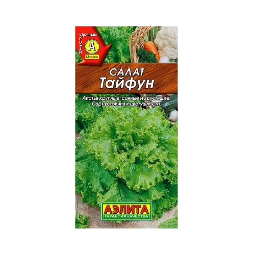 Салат Тайфун листовой 0_5гр  _10
