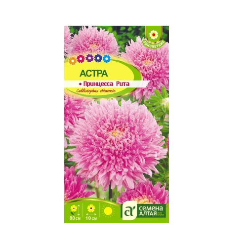 Астра Принцесса Рита 0_2гр _10