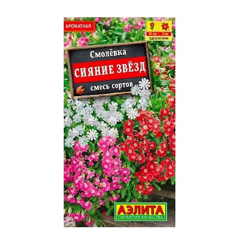 Смолевка Сияние звезд смесь 0_1 гр_10