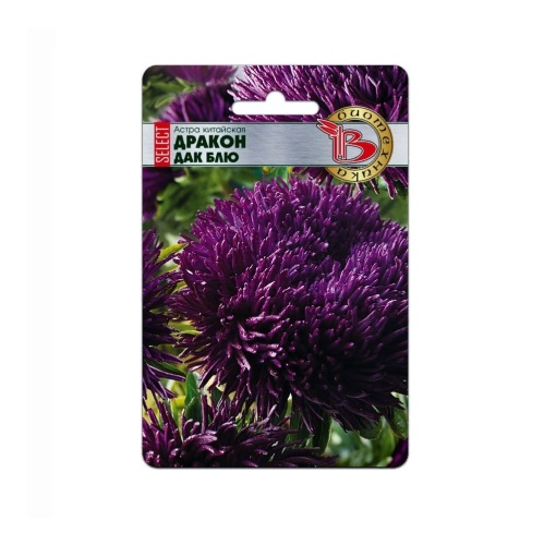 Астра Дракон селект Дак Блю  30шт_5