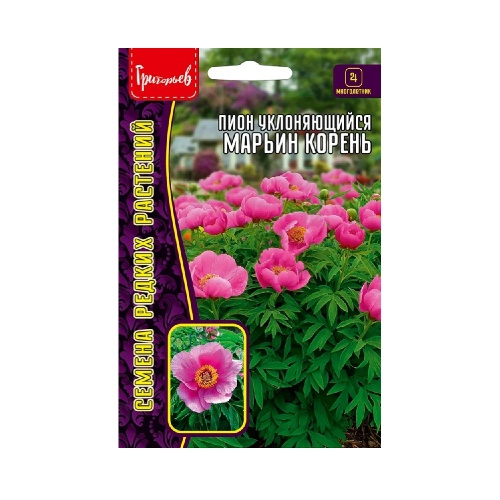 Пион Марьин Корень уклоняющийся 5шт _10