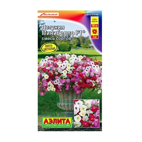 Петуния Минибелло смесь F1 многоцветковая 5шт  _10