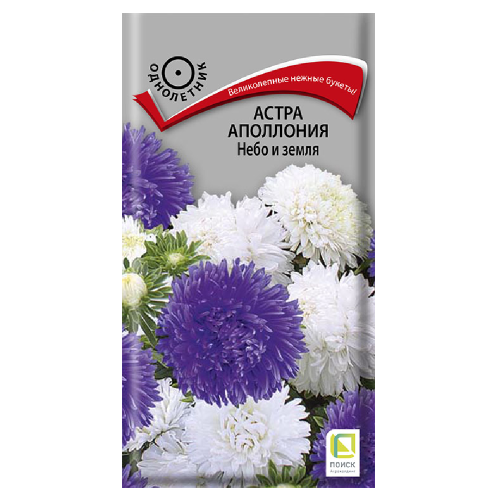 Астра Аполлония Небо и Земля 0_3гр_10