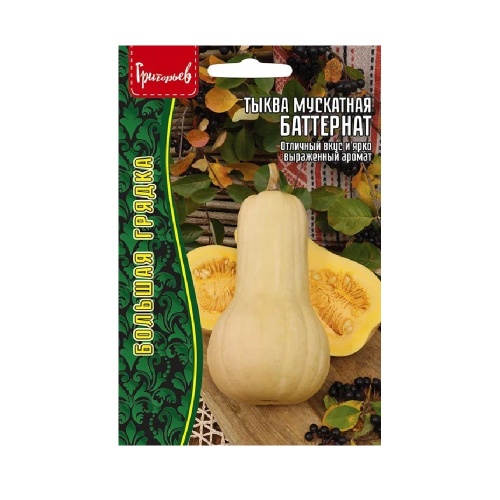 Тыква Баттернат мускатная 5шт_10