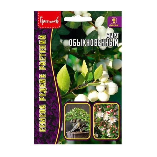 Мирт Обыкновенный  10шт _10
