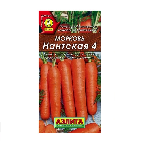 Морковь Нантская 4  2гр_10