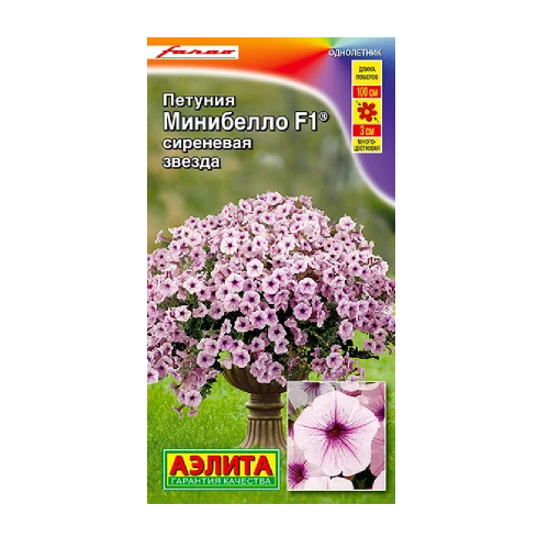 Петуния Минибелло сиреневая звезда F1 многоцветковая 5шт_10