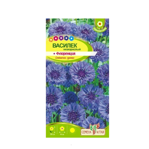 Василек Флоренция низкорослый 0_2гр_ 10