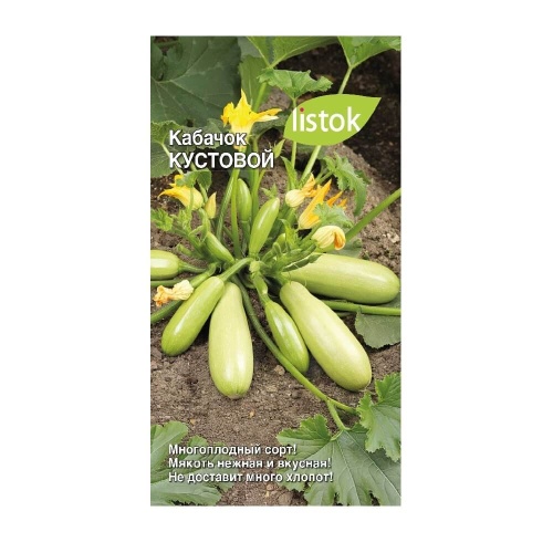 Кабачок Кустовой 10шт_10
