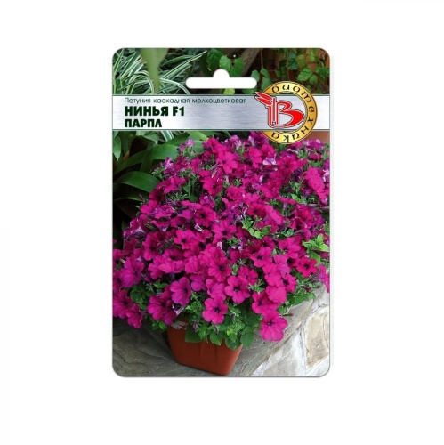 Петуния Нинья F1 Парпл каскадная мелкоцветковая  5шт_5