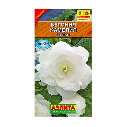 Бегония Камелия белая крупноцветковая  10шт_10