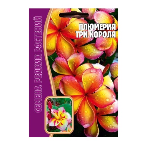 Плюмерия Три Короля  3шт_10