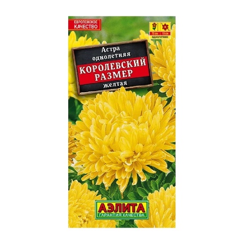 Астра Королевский размер Желтая  0_1гр_10