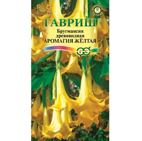 Бругмансия Аромагия желтая  3шт_10