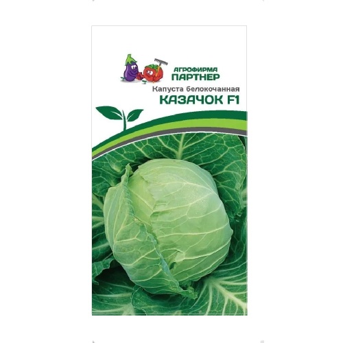 Капуста б_к Казачок F1 0_3гр_10
